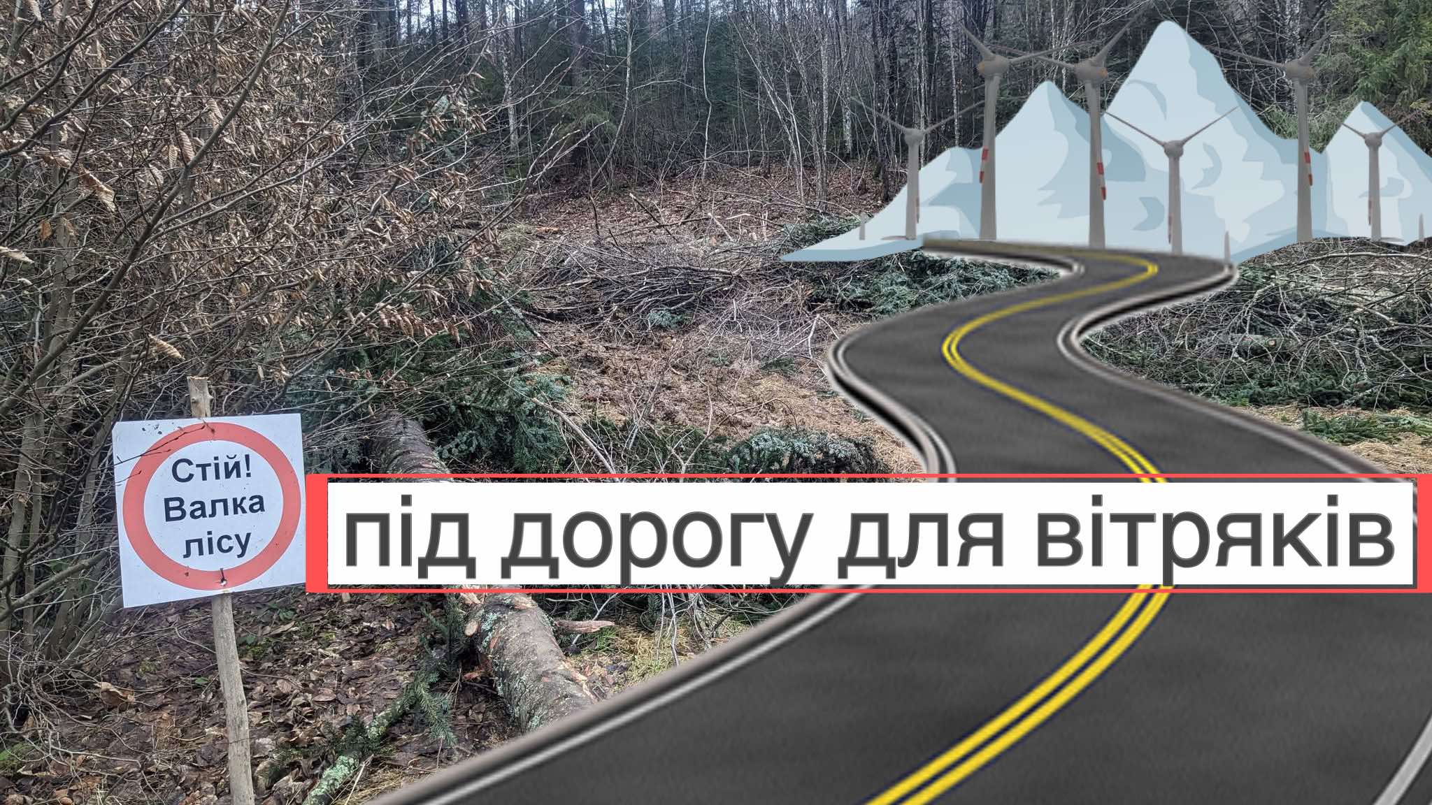 Суд визнав незаконними рубки лісу під дорогу для вітропарку на полонині Руна