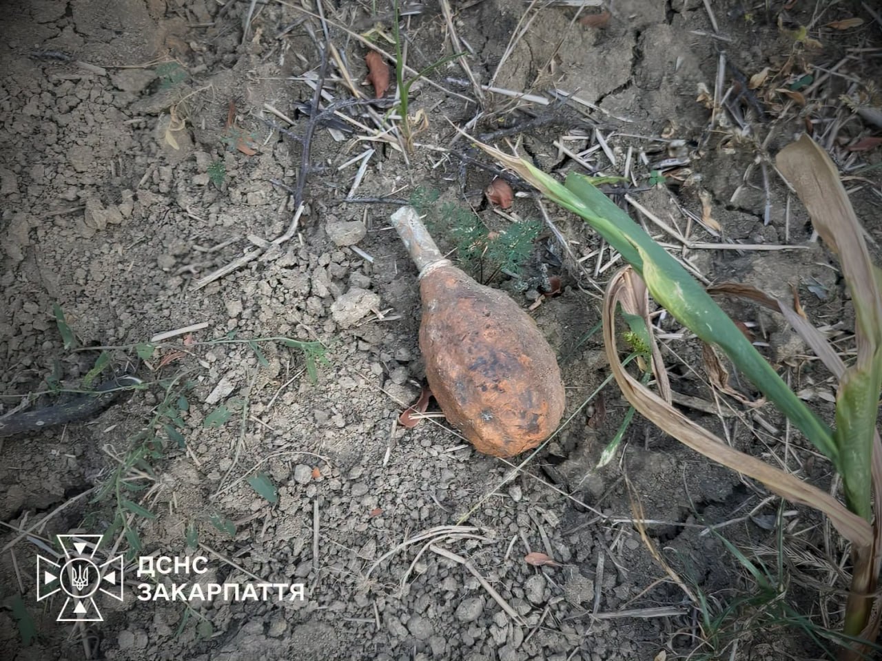 На Ужгородщині знайшли дві бойові гранати часів Другої світової війни (ФОТО)