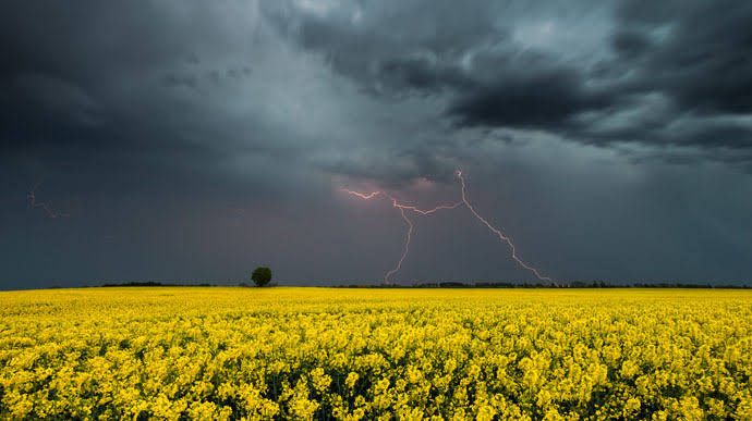 Фото ілюстративне, з мережі інтернет