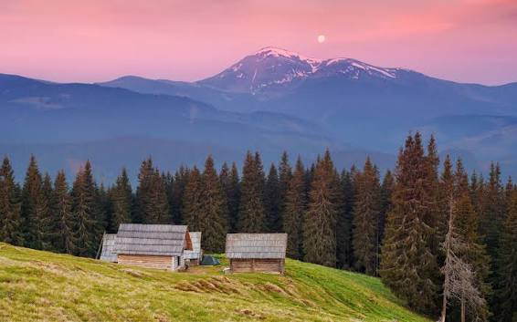 Фото ілюстративне, з мережі інтернет