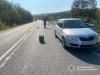 На Закарпатті внаслідок ДТП загинув 64-річний велосипедист (ФОТО)