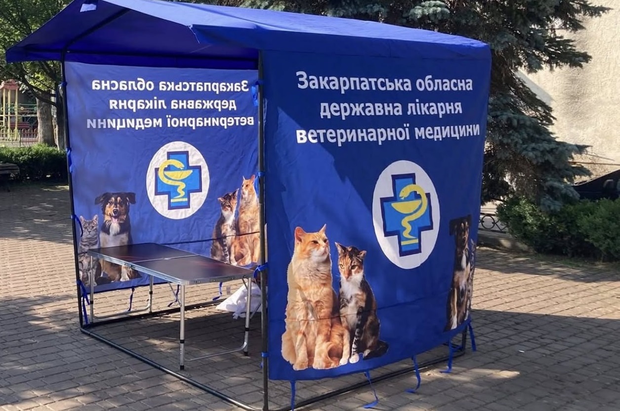 В Ужгороді та Сторожниці безкоштовно вакцинуватимуть собак і котів від сказу