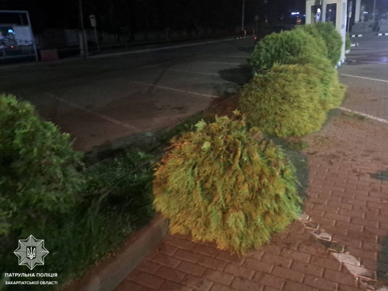 В Ужгороді нетверезий водій без прав скоїв ДТП (ФОТО)