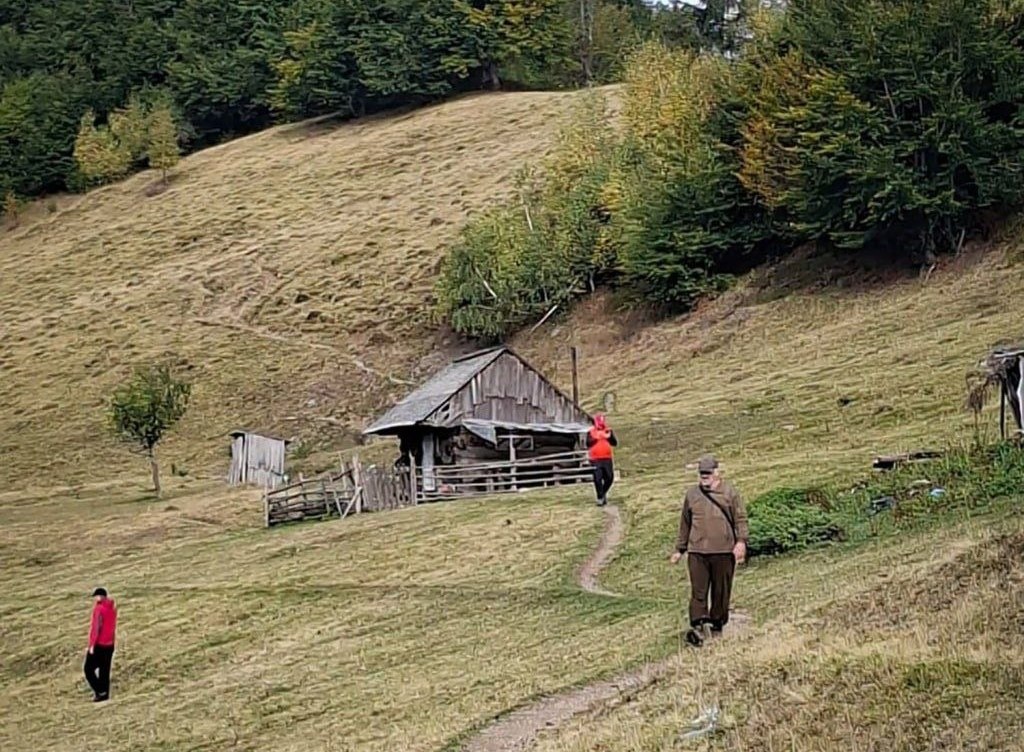 Пошуки чоловіка, який зник у лісі на Закарпатті, завершилися трагедією (ФОТО)