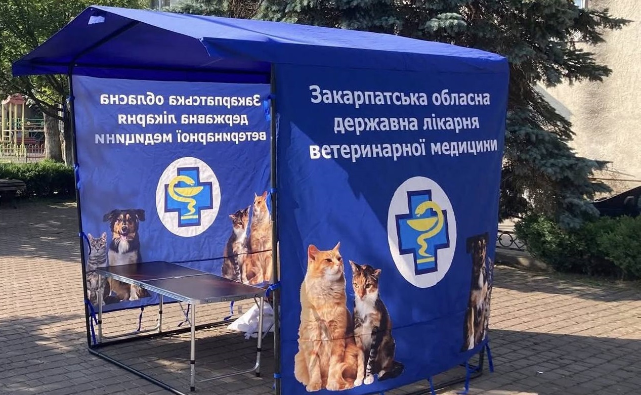 Фото ілюстративне, з мережі інтернет
