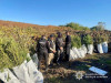 У Мукачеві суд виніс вирок чоловіку, який вирощував коноплі та виготовляв канабіс (ФОТО)
