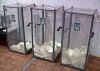 «Наша Україна» закликає виборців не дати вкрасти свій голос
