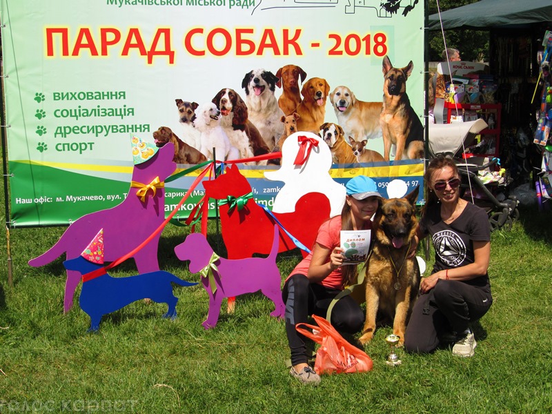 У Мукачеві пройшов Парад собак 2018 (ФОТО, ВІДЕО)