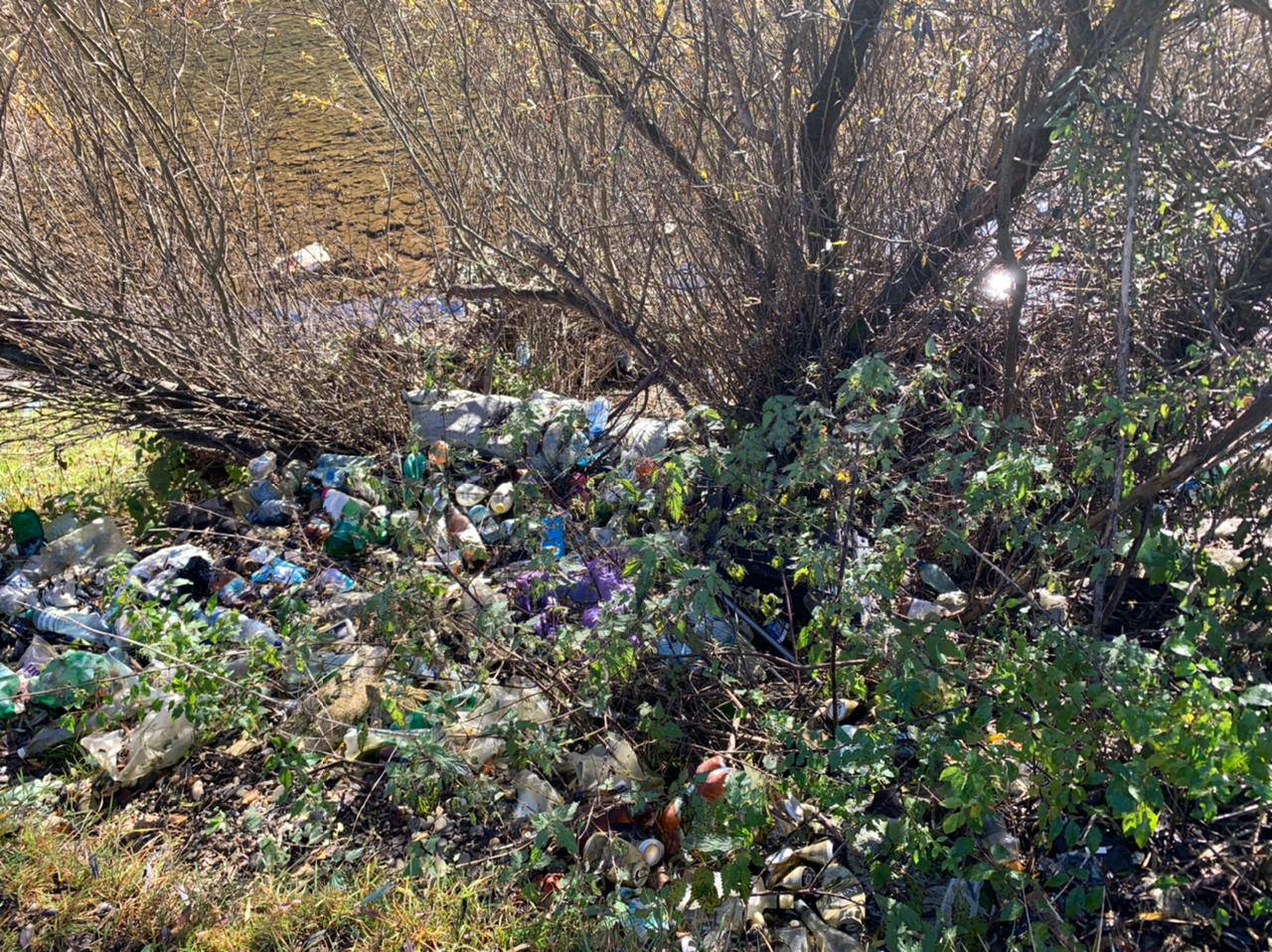 Колочавській сільській та Міжгірській селищній радам пред'явлено претензії за незаконні сміттєзвалища