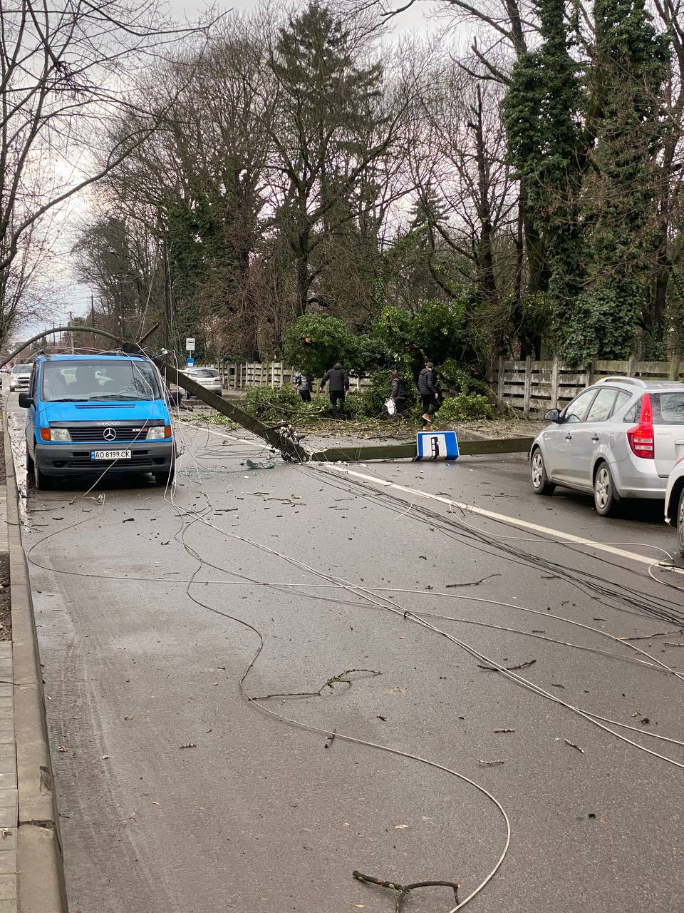 В Ужгороді на дорогу впало кілька стовпів (ФОТО)