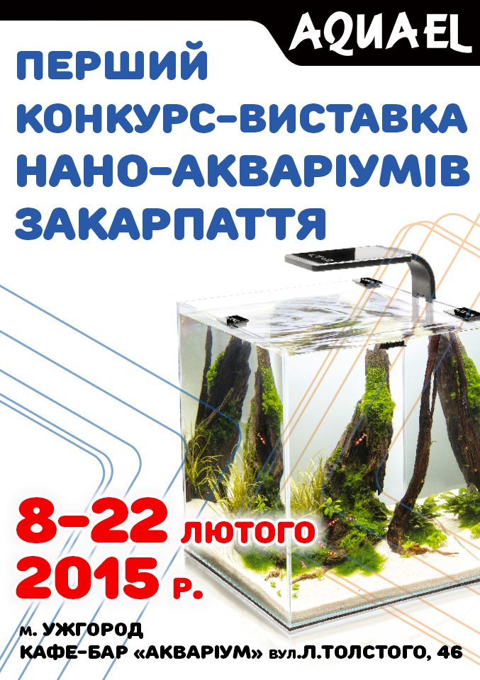 В Ужгороді відбудеться виставка-конкурс мініатюрних акваріумів (ФОТО, ВІДЕО)