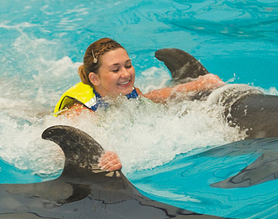 Закарпатська тележурналістка Олександра Борисова знайшла себе... з дельфінами в Еміратах (ФОТО)