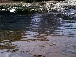 В Уж біля Боздоського парку витікають каналізаційні стоки – санепідемстанція