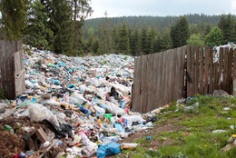 Пластик під смерекою - на Рахівщині побутові відходи слід негайно утилізовувати