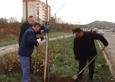 Мукачево продовжує озеленятися (ВІДЕО)