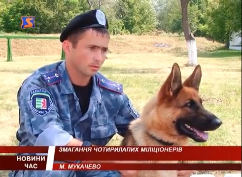 У Мукачеві змагалися службові собаки (ВІДЕО)