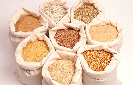 Половину врожаю зернових на Закарпатті цьогоріч становитиме кукурудза (ВІДЕО)