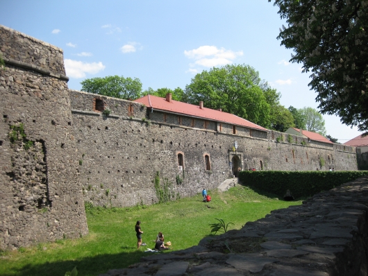 Для порятунку Ужгородського замку від руйнації дирекція планує звертатись по допомогу до Європи (ВІДЕО)
