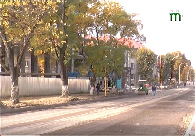 Попутно ремонтам доріг в Ужгороді на вулицях зрізають дерева (ВІДЕО)