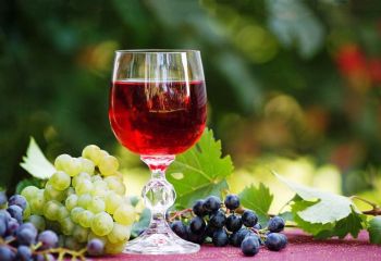 На "Угочанській лозі" у Виноградові вчитимуть виготовляти бочки та відкриють винний льох (ВІДЕО)