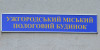В Ужгороді в пологовому померла 28-річна вагітна двійнею мешканка Берегівщини (ВІДЕО)
