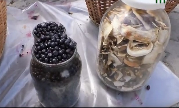 Кілограм білих грибів на ринках Ужгорода вартує від 60 грн, чорниці – 40-45 грн за літр (ВІДЕО)