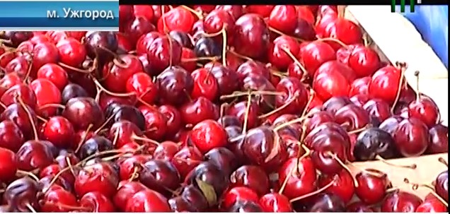 Ціни на фрукти та ягоди в Ужгороді – не за сезоном високі (ВІДЕО)