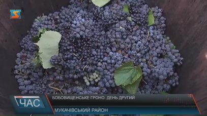 Фестиваль молодого вина "Бобовищенське гроно" вчетверте відбувся на Мукачівщині (ВІДЕО)