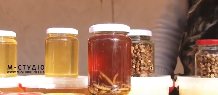 На Закарпатті нині нараховується майже 70 тисяч бджолиних сімей (ВІДЕО)