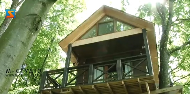 На Тячівщині туристам пропонують пожити в будиночку на дереві (ВІДЕО)