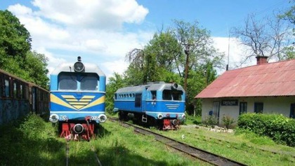У День Боржавської вузькоколійки потяг курсував з Берегова до Виноградова (ВІДЕО)