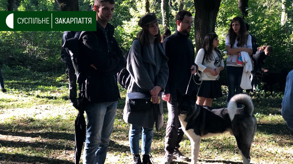Виставка собак "Зірка Закарпаття" відбулася в Ужгороді (ФОТО, ВІДЕО)