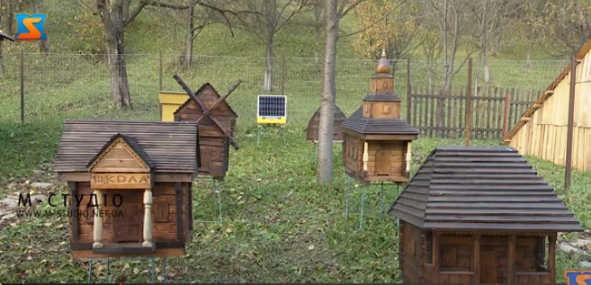 Карпатська школа бджільництва діє у Колочаві на Міжгірщині (ВІДЕО)