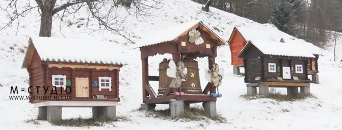 Бджоляр із Міжгірщини "розселив" сім'ї бджіл в оригінальних будиночках (ВІДЕО)