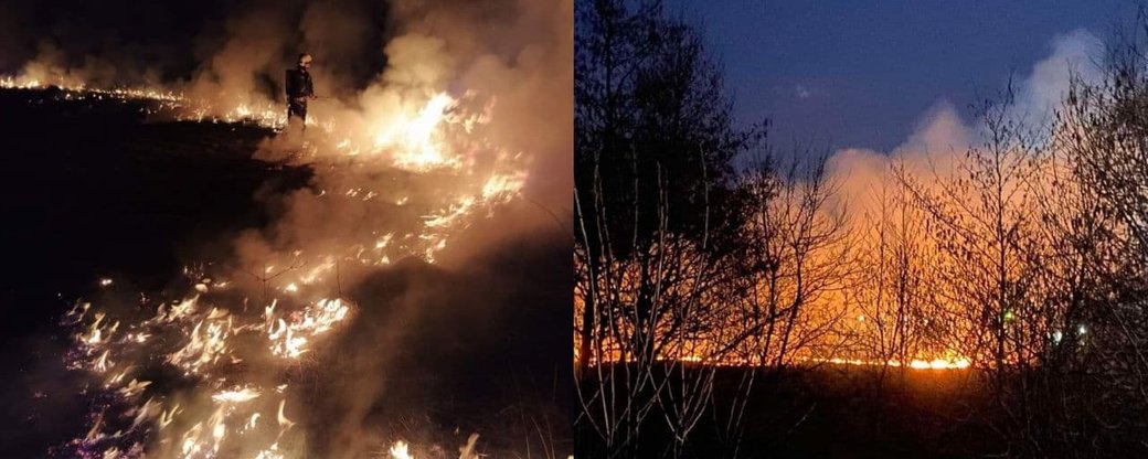 За добу на Закарпатті зафіксували 33 пожежі в екосистемах