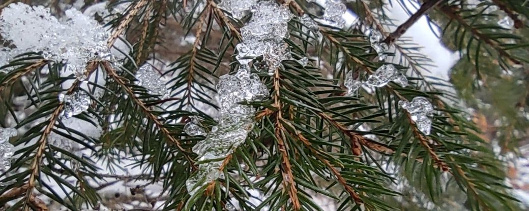 Дощ із мокрим снігом прогнозують на Закарпатті впродовж наступних чотирьох днів