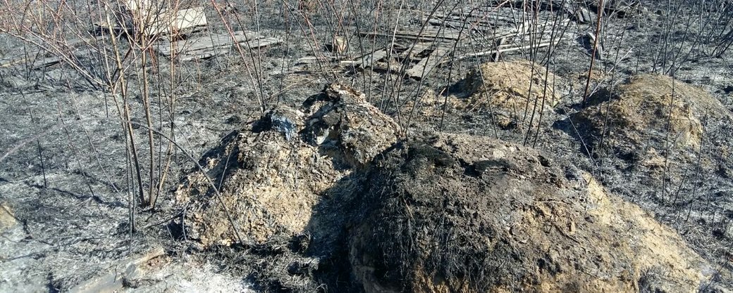 З початку року понад тисячу загорань сухостою зафіксували на Закарпатті (ФОТО, ВІДЕО)