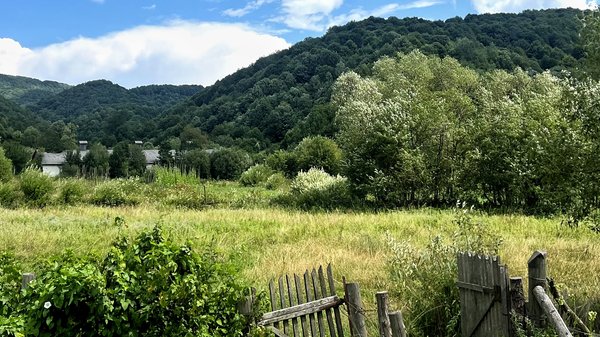 Закон, що передбачає відчуження землі в Ужгородському районі: у ГО "Голка" вказують на корупційні ризики (ВІДЕО)