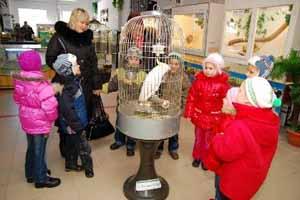 В Ужгороді відкриється виставка екзотичних тварин "Джунглі парк"