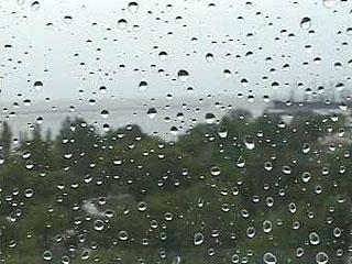 Погода на Закарпатті та в Ужгороді у вівторок, 31 серпня