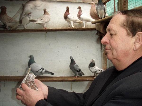 Степан Зомбор: «У голубівників завжди сильна сім’я»