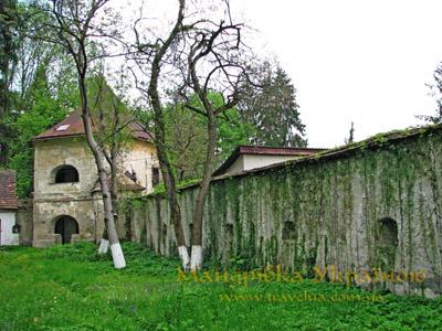 На Іршавщині грантовими коштами хочуть відселити тубдиспансер з Довжанського замку