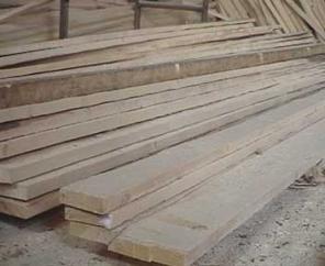 Закарпатське підприємство хотіло вивезти деревину за кордон за фальшивим сертифікатом