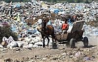 На Закарпатті сміттєзвалищами зайнято 198,609 га землі