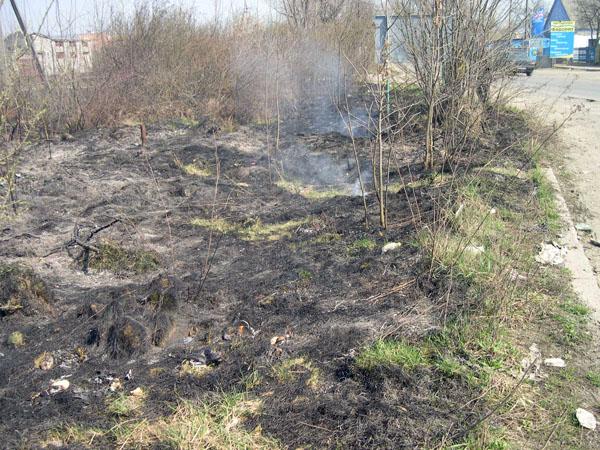 На Закарпатті 38 із 199 пожеж виникли від загорання сухої трави та сміття
