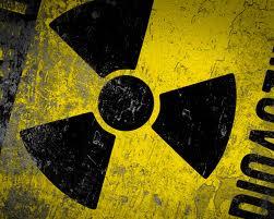 Закарпатські науковці знають, як подолати наслідки Чорнобильської катастрофи