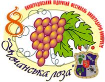 У закарпатському Виноградові гуляла «Угочанська Лоза» і святкували День Європи (ФОТО)