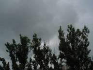 На Закарпатті через сильні дощі і шквали оголосили штормове попередження 