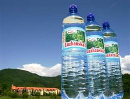 Прокуратура Свалявщини не виявила порушень у видобуванні мінеральної води